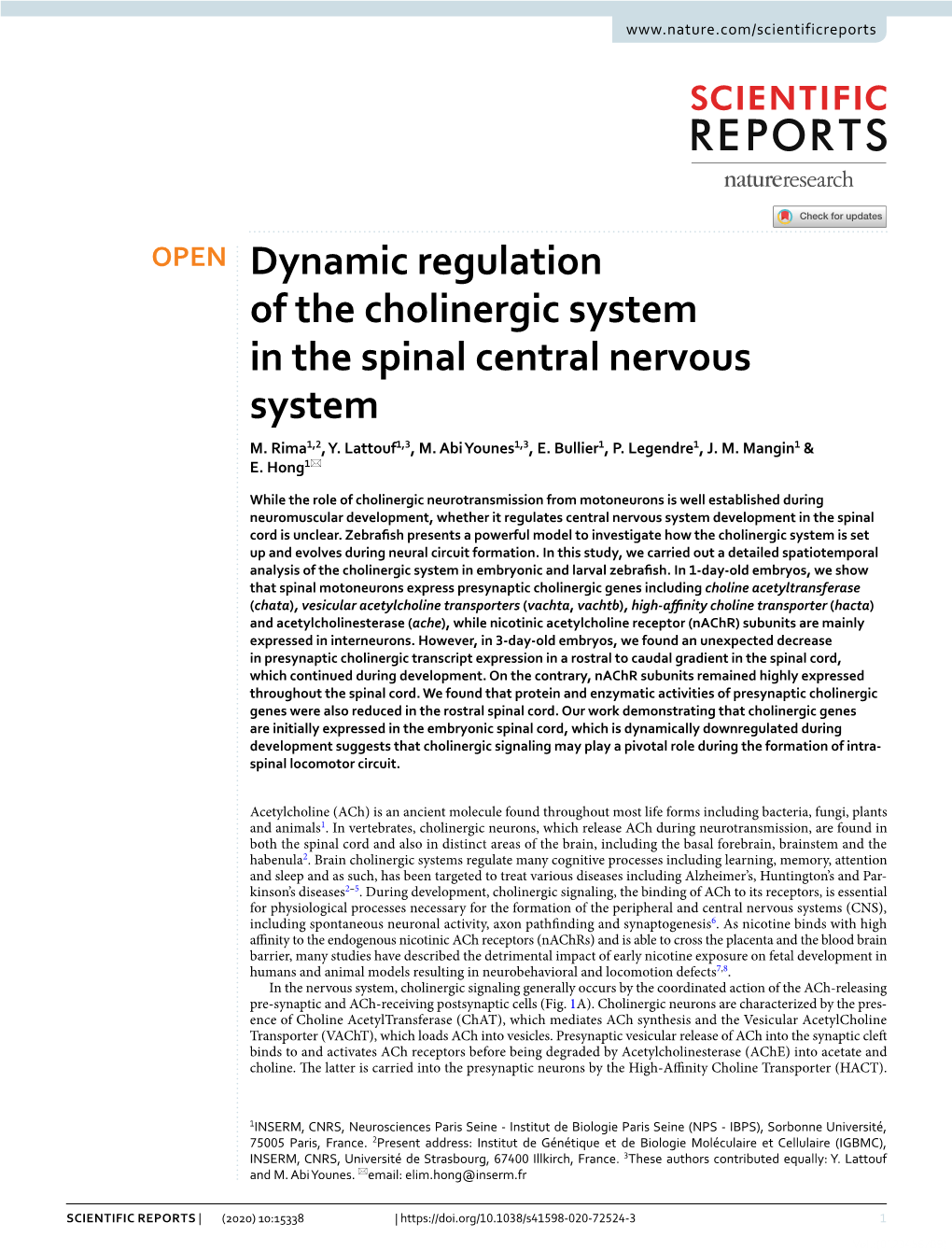 Dynamic Regulation of the Cholinergic System in the Spinal Central Nervous System M