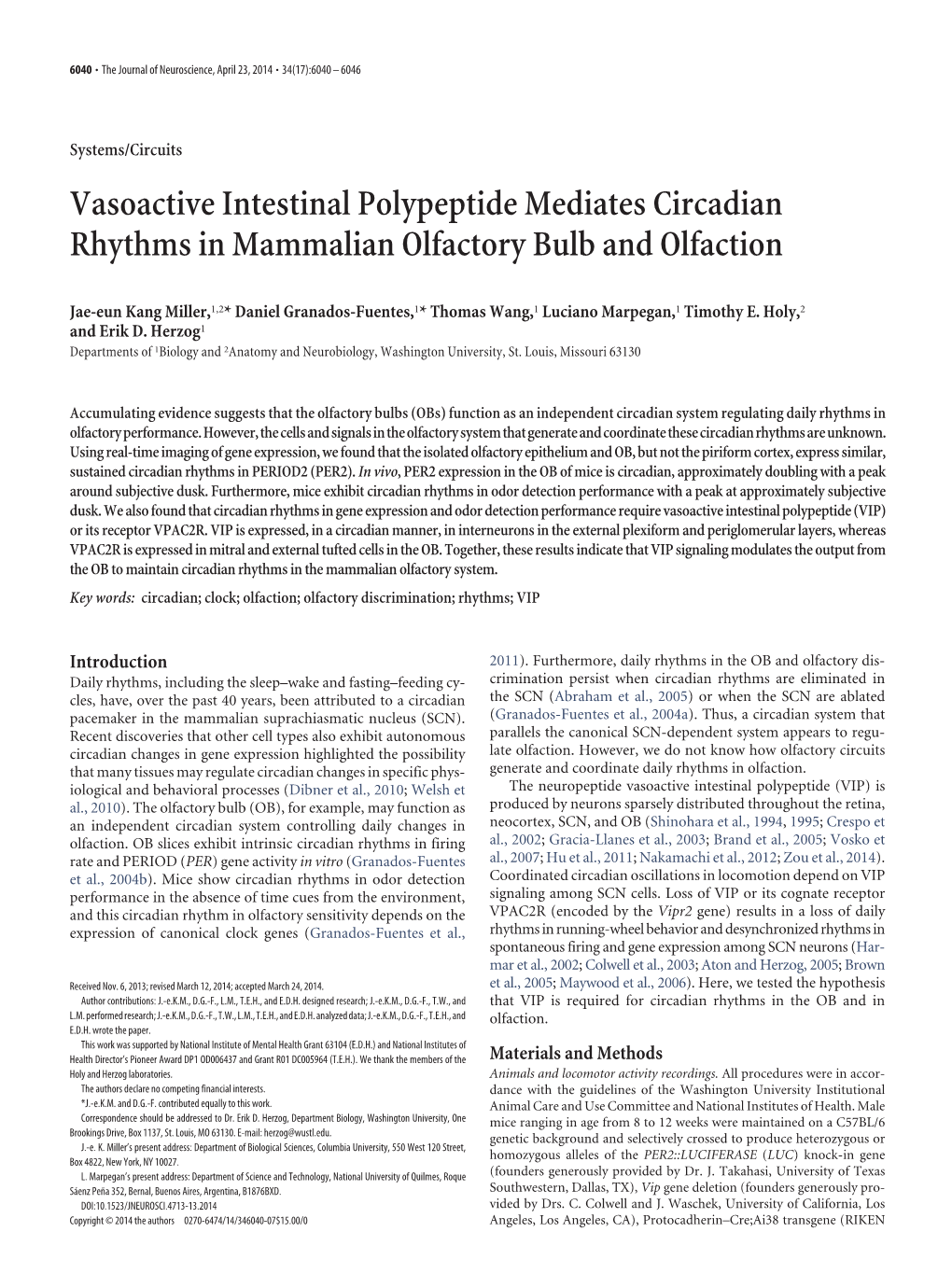 Vasoactive Intestinal Polypeptide Mediates Circadian Rhythms in Mammalian Olfactory Bulb and Olfaction