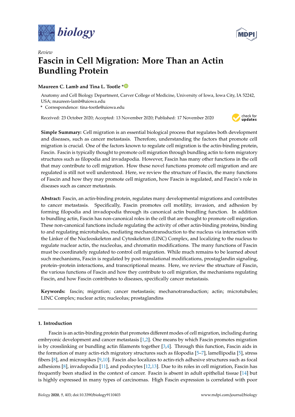 Fascin in Cell Migration: More Than an Actin Bundling Protein