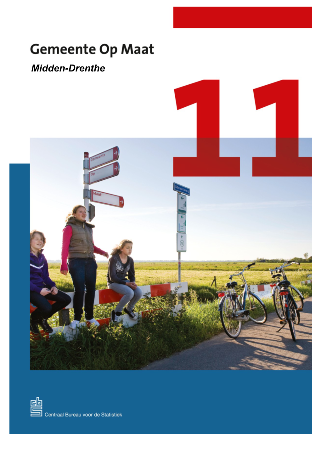 Gemeente Op Maat 2010