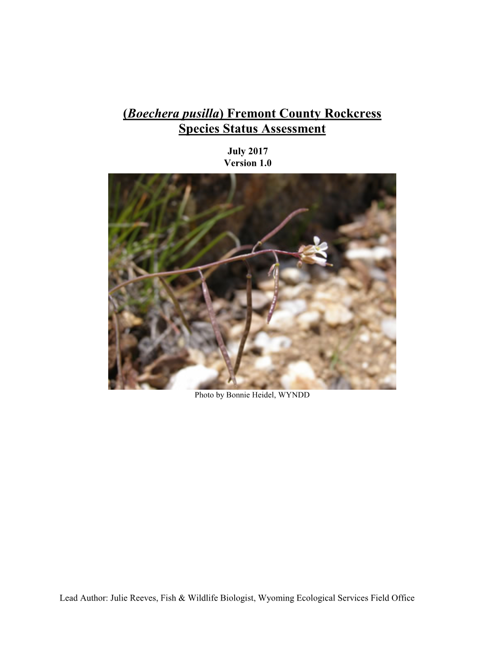 Freemont County Rockcress Species Status Assessment