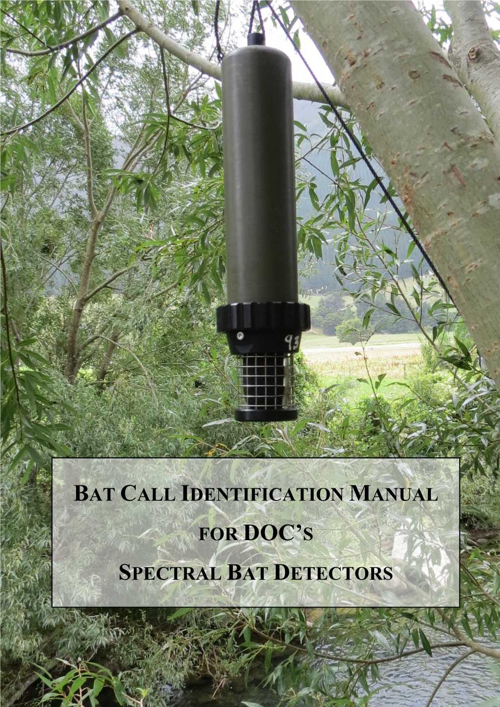 Using Spectrograms to Describe Bat Echolocation Calls