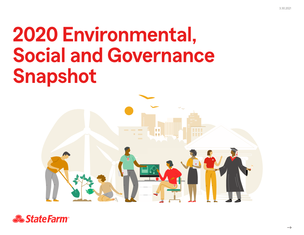 State Farm 2020 ESG Snapshot