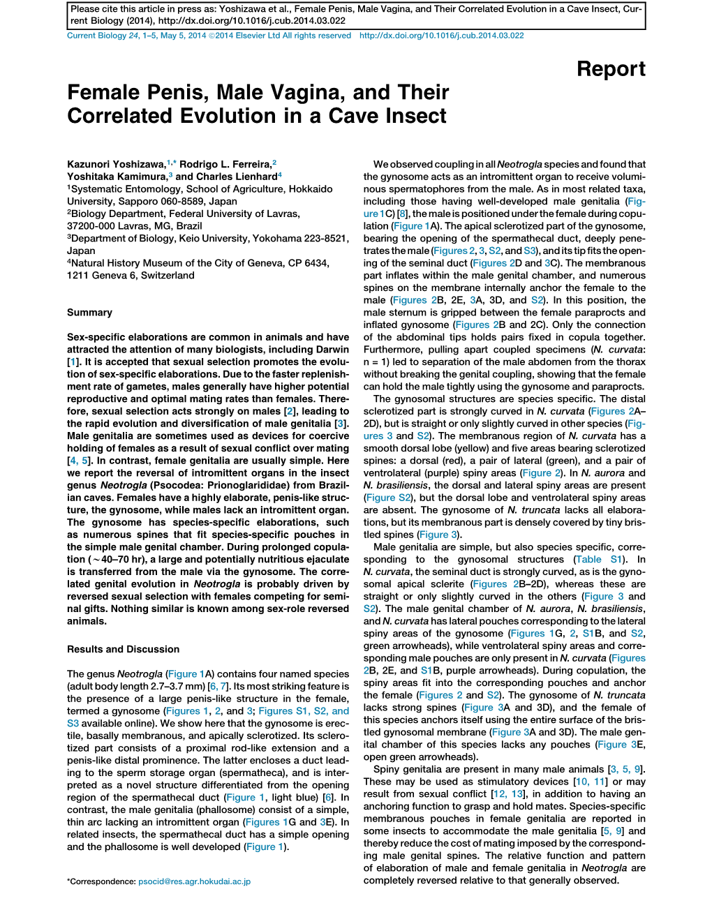 Female Penis, Male Vagina, and Their Correlated Evolution in a Cave Insect