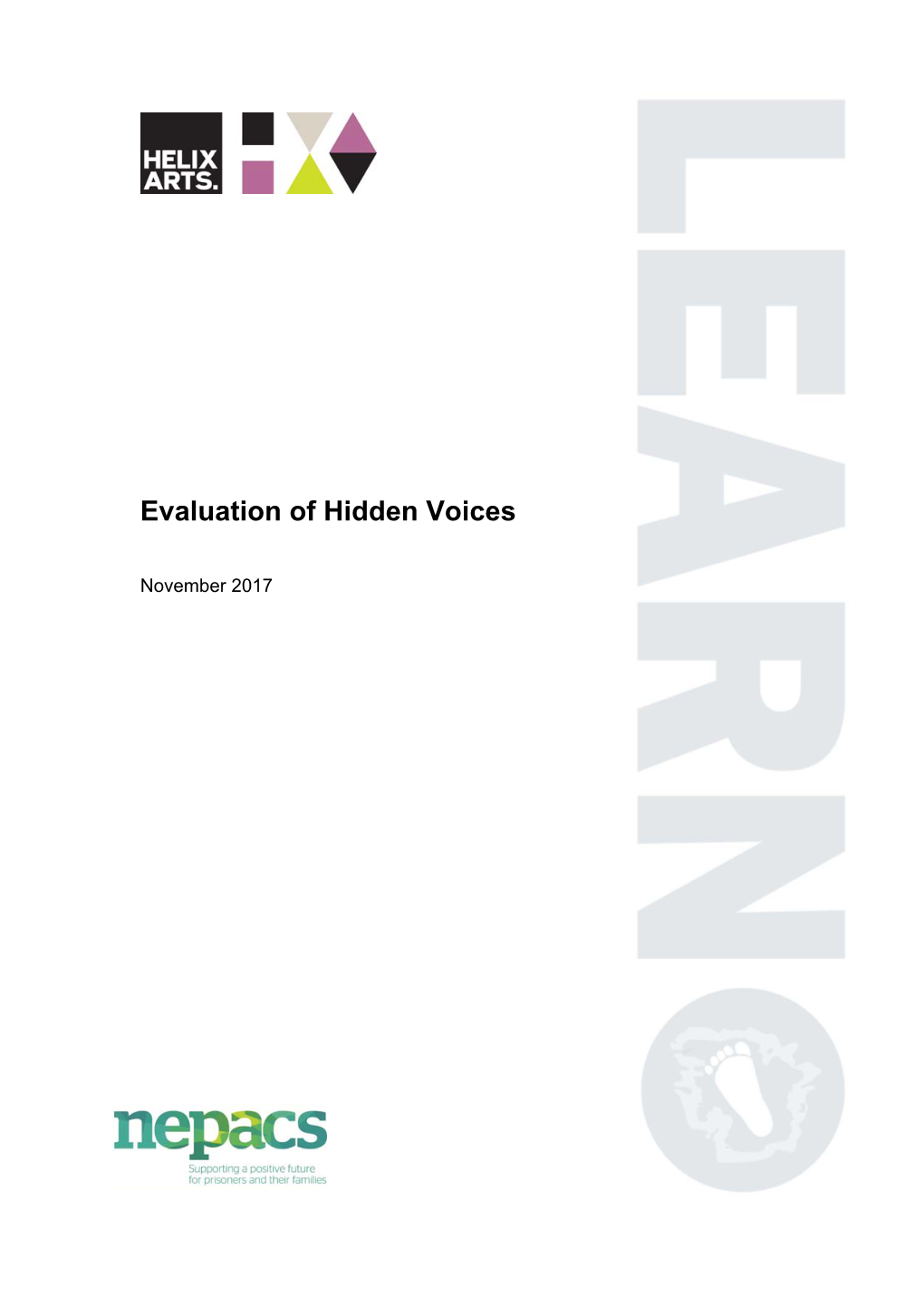 Evaluation of Hidden Voices