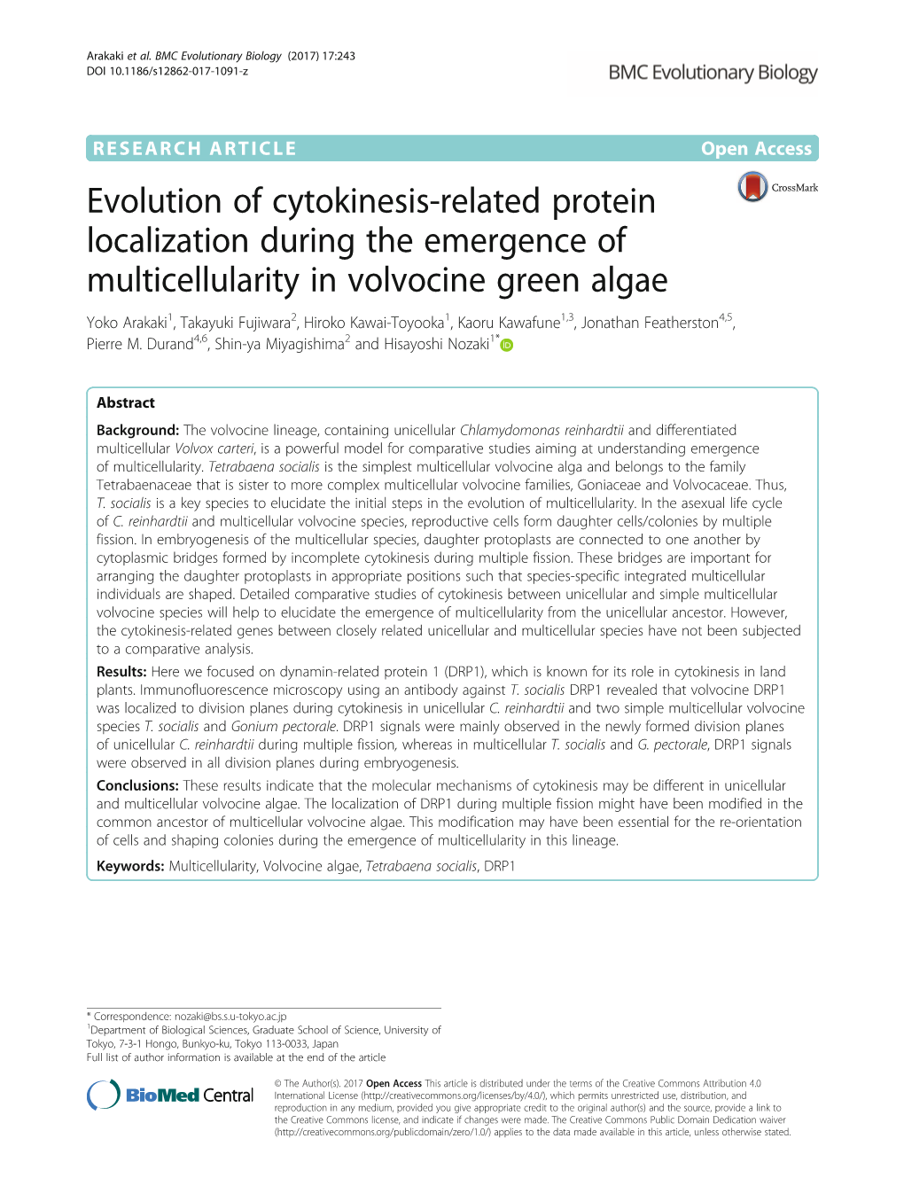 Evolution of Cytokinesis-Related Protein Localization During The