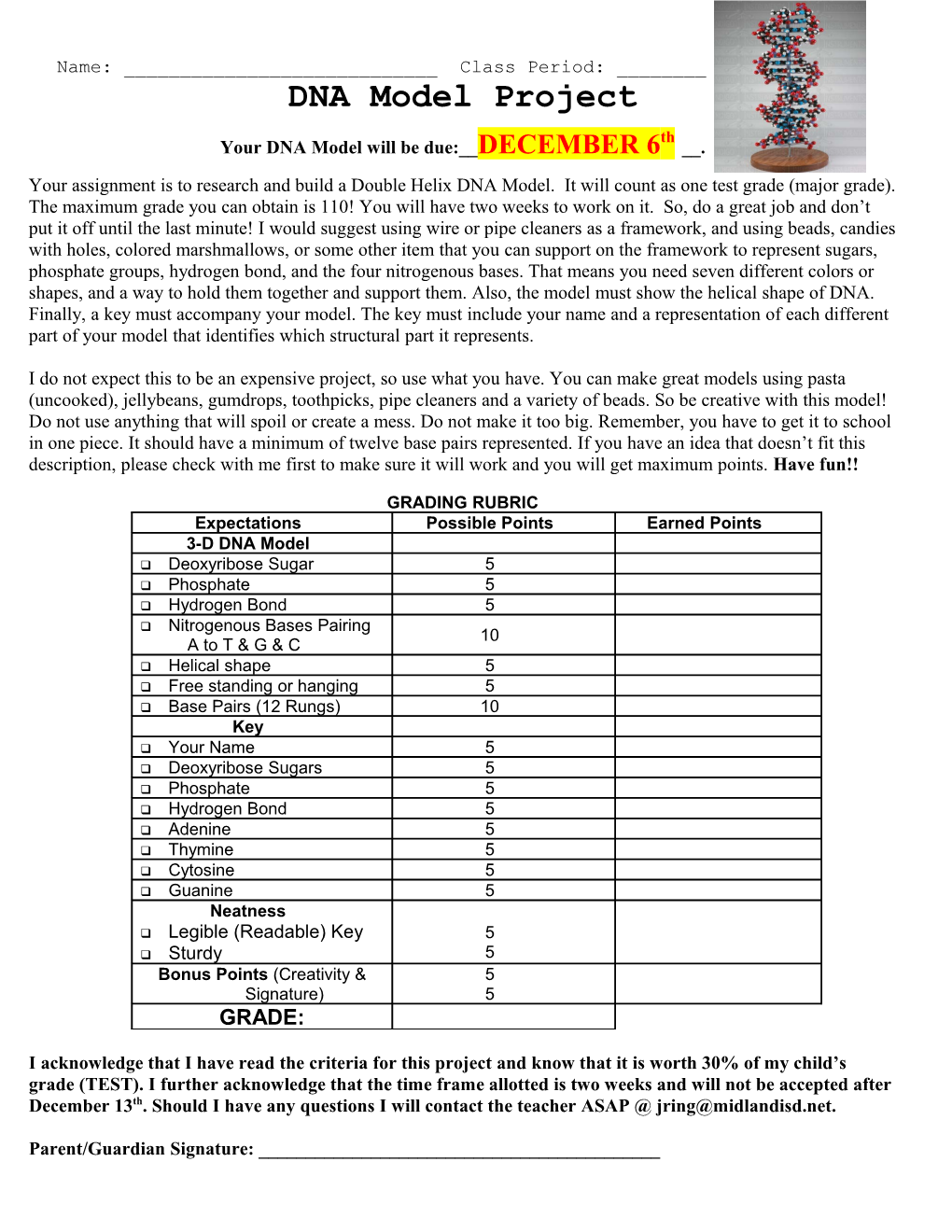 DNA Model Directions & Rubric