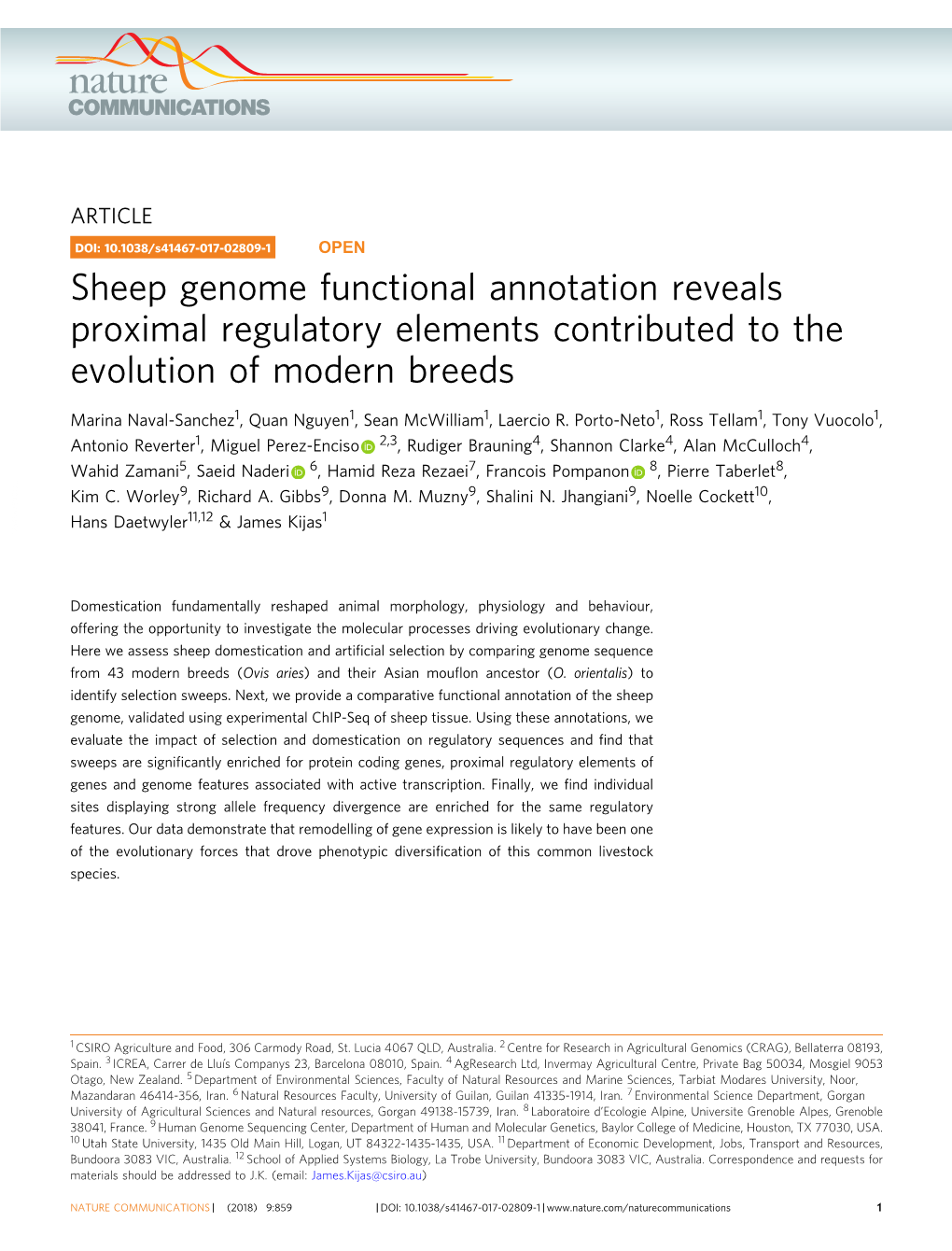 Sheep Genome Functional Annotation Reveals Proximal Regulatory Elements Contributed to the Evolution of Modern Breeds