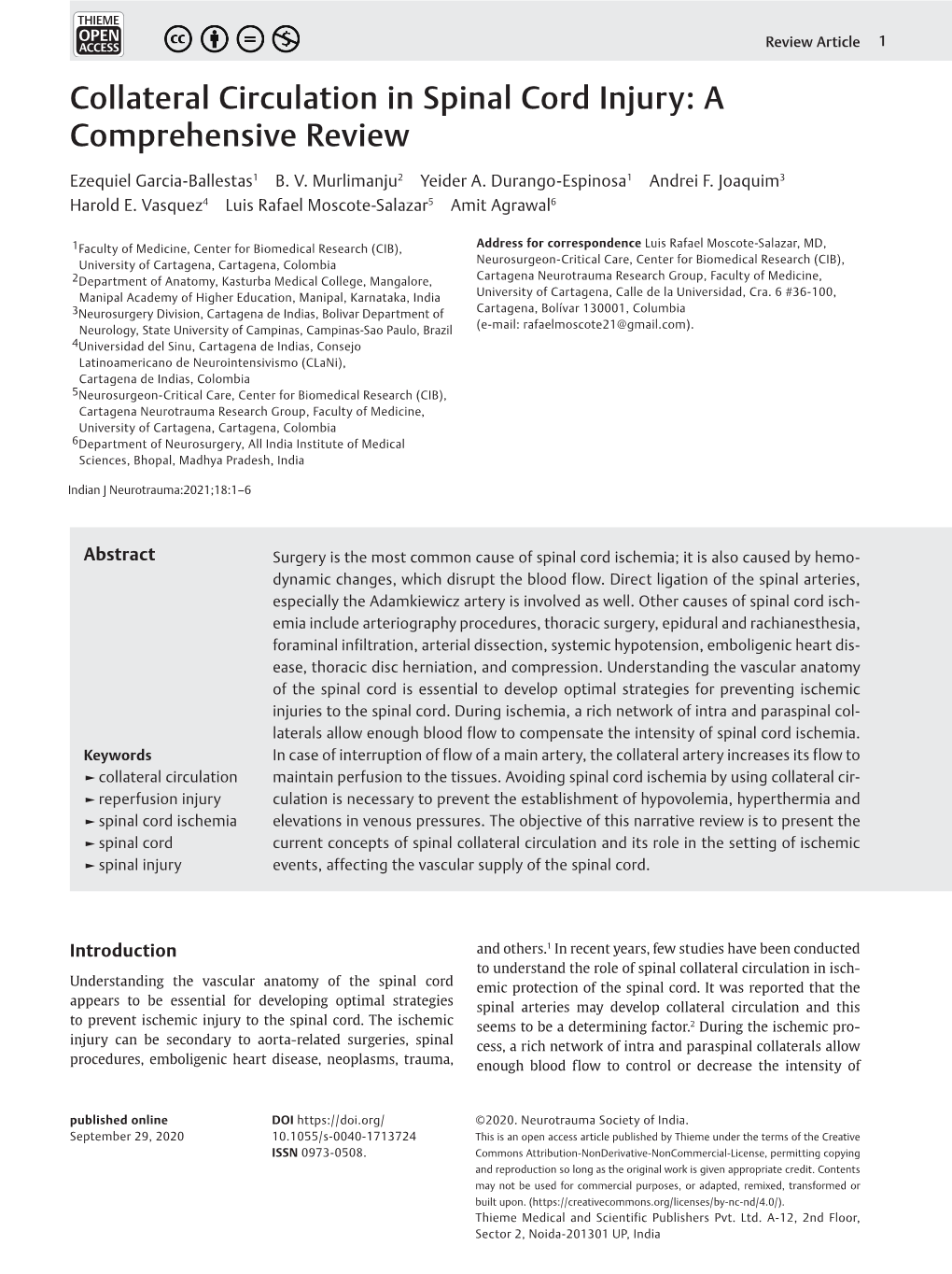 Collateral Circulation in Spinal Cord Injury: a Comprehensive Review