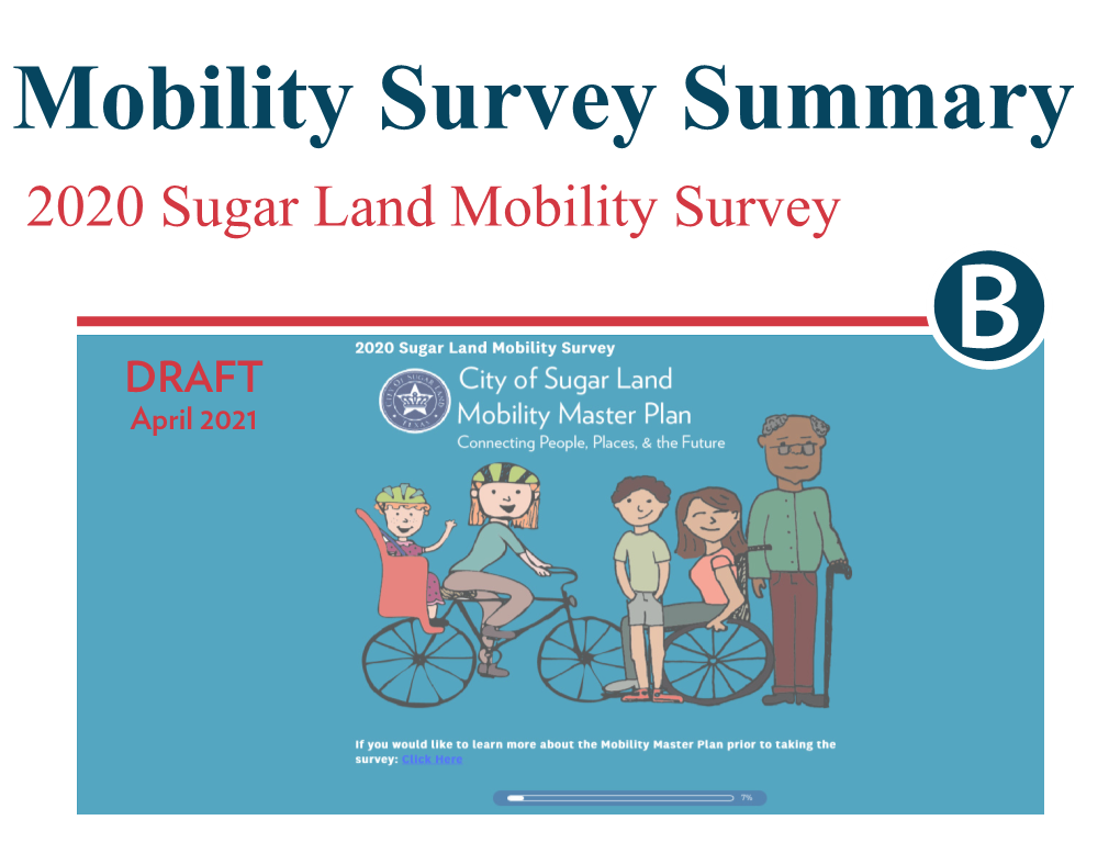 Mobility Survey Summary