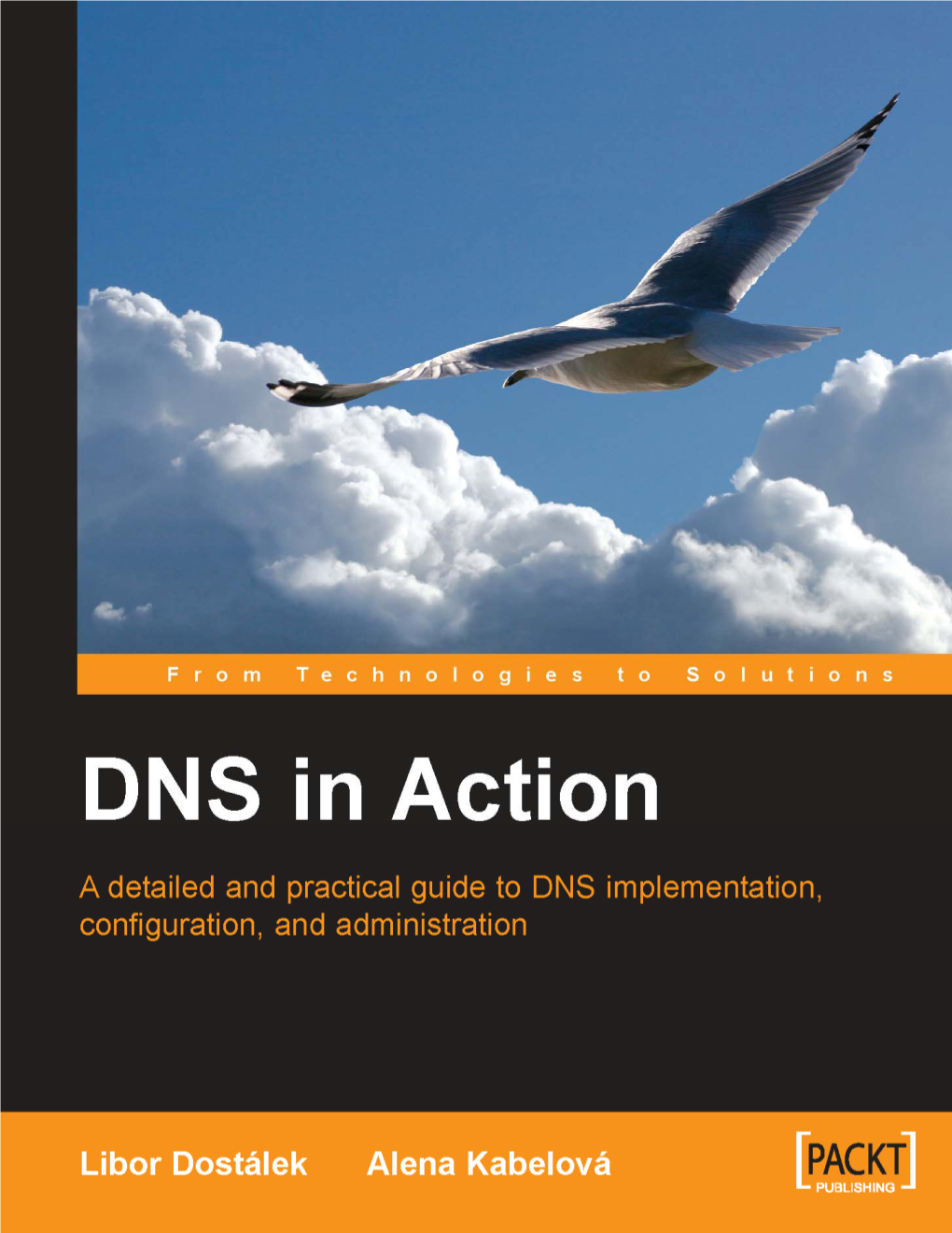 Dns in Action a Detailed and Practical Guide To