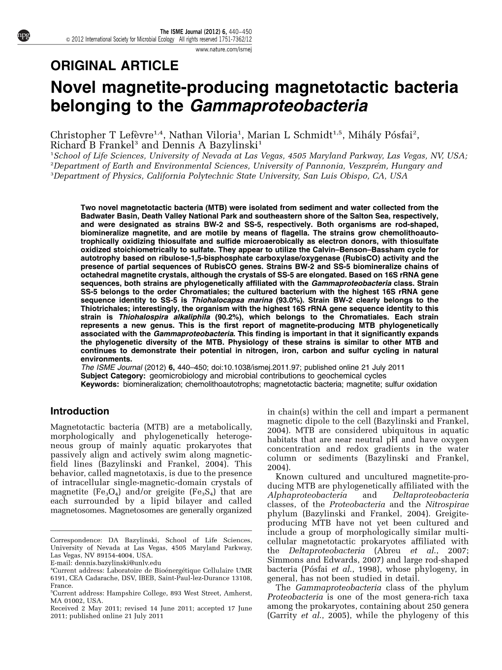 Novel Magnetite-Producing Magnetotactic Bacteria Belonging to the Gammaproteobacteria