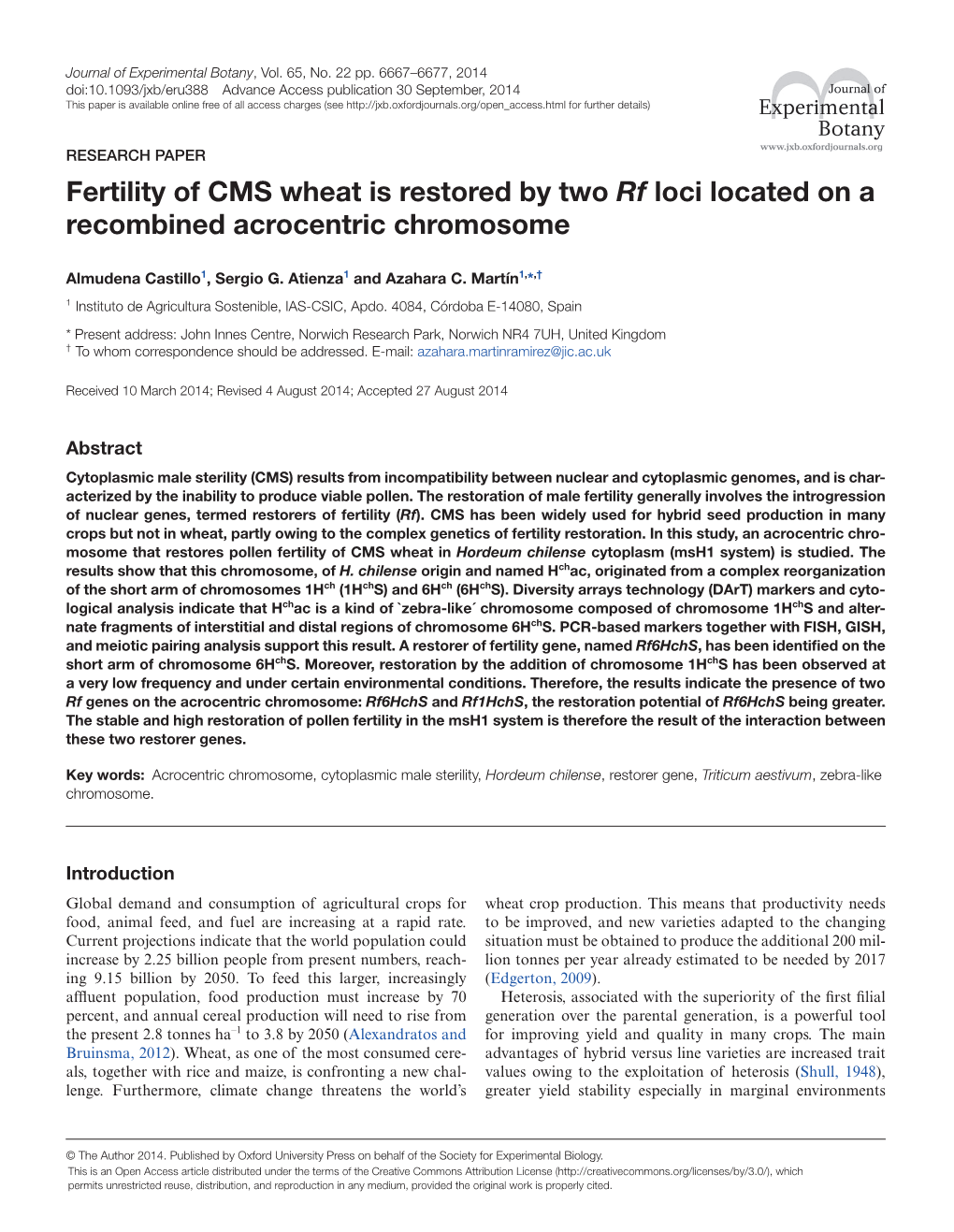 Fertility of CMS Wheat Is Restored by Two Rf Loci Located on a Recombined Acrocentric Chromosome