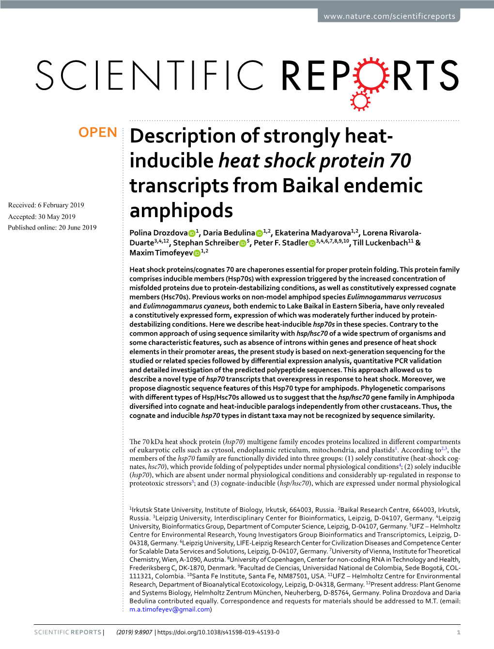 Description of Strongly Heat-Inducible Heat Shock Protein 70 Transcripts