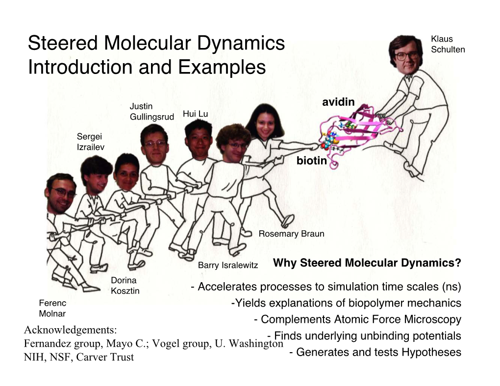Why Steered Molecular Dynamics?