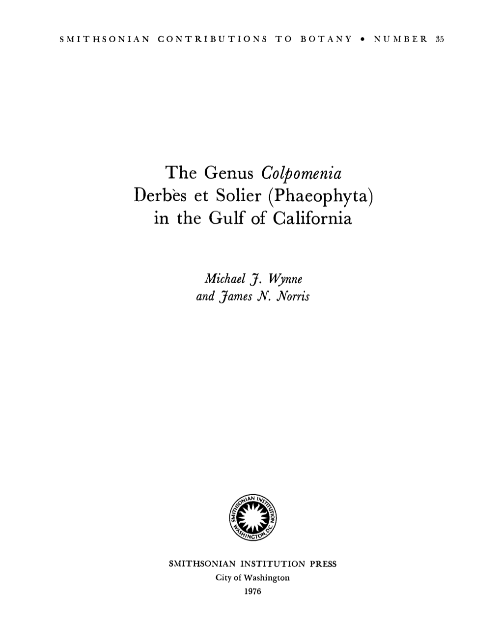 The Genus Colpomenia in the Gulf of California