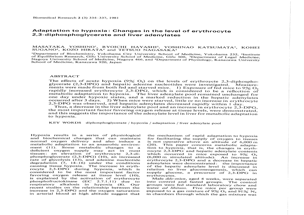 Adaptation to Hypoxia: Changes in the Level of Erythrocyte 2.3-Diphosphoglycerate and Liver Adenylates