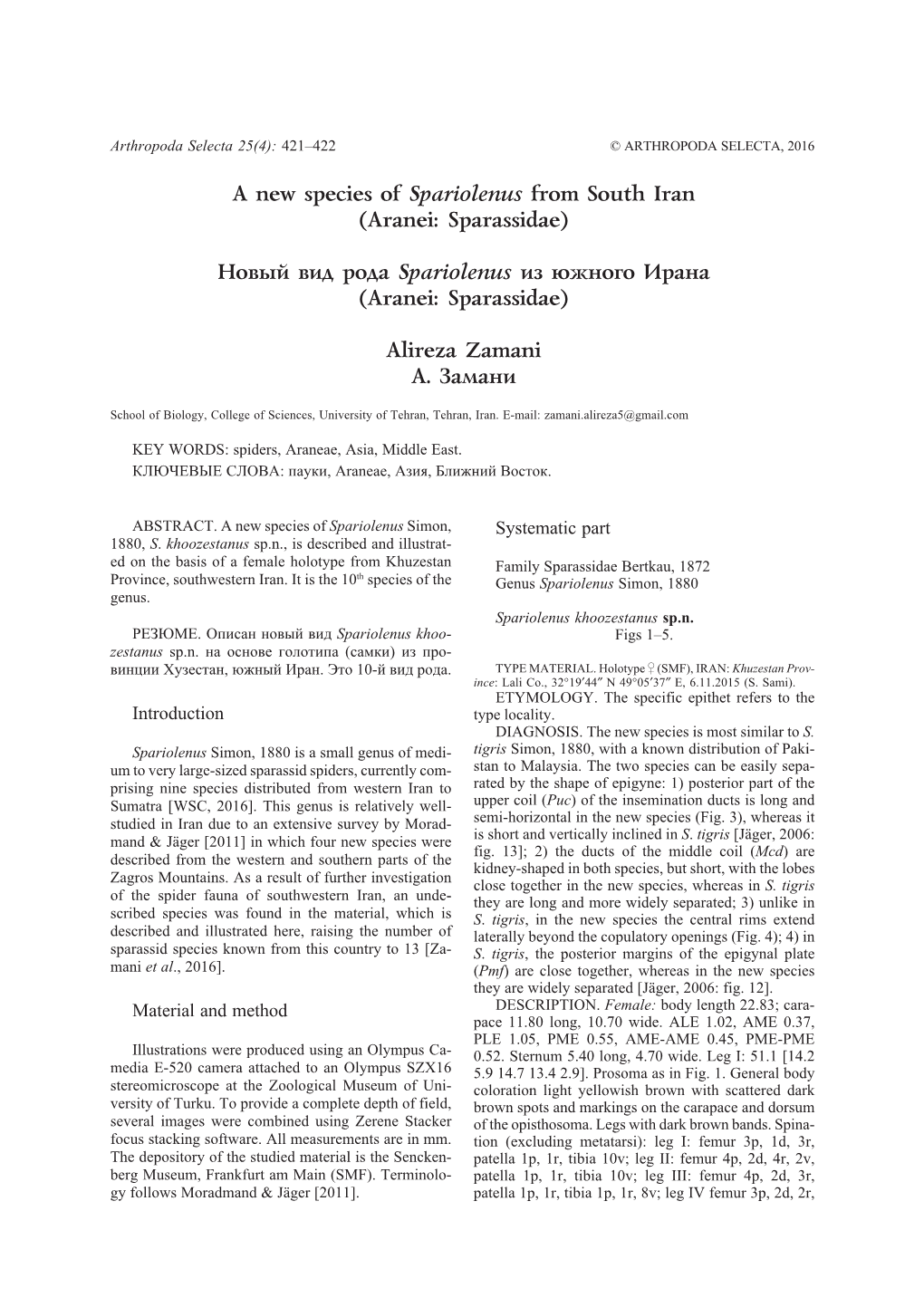 A New Species of Spariolenus from South Iran (Aranei: Sparassidae)