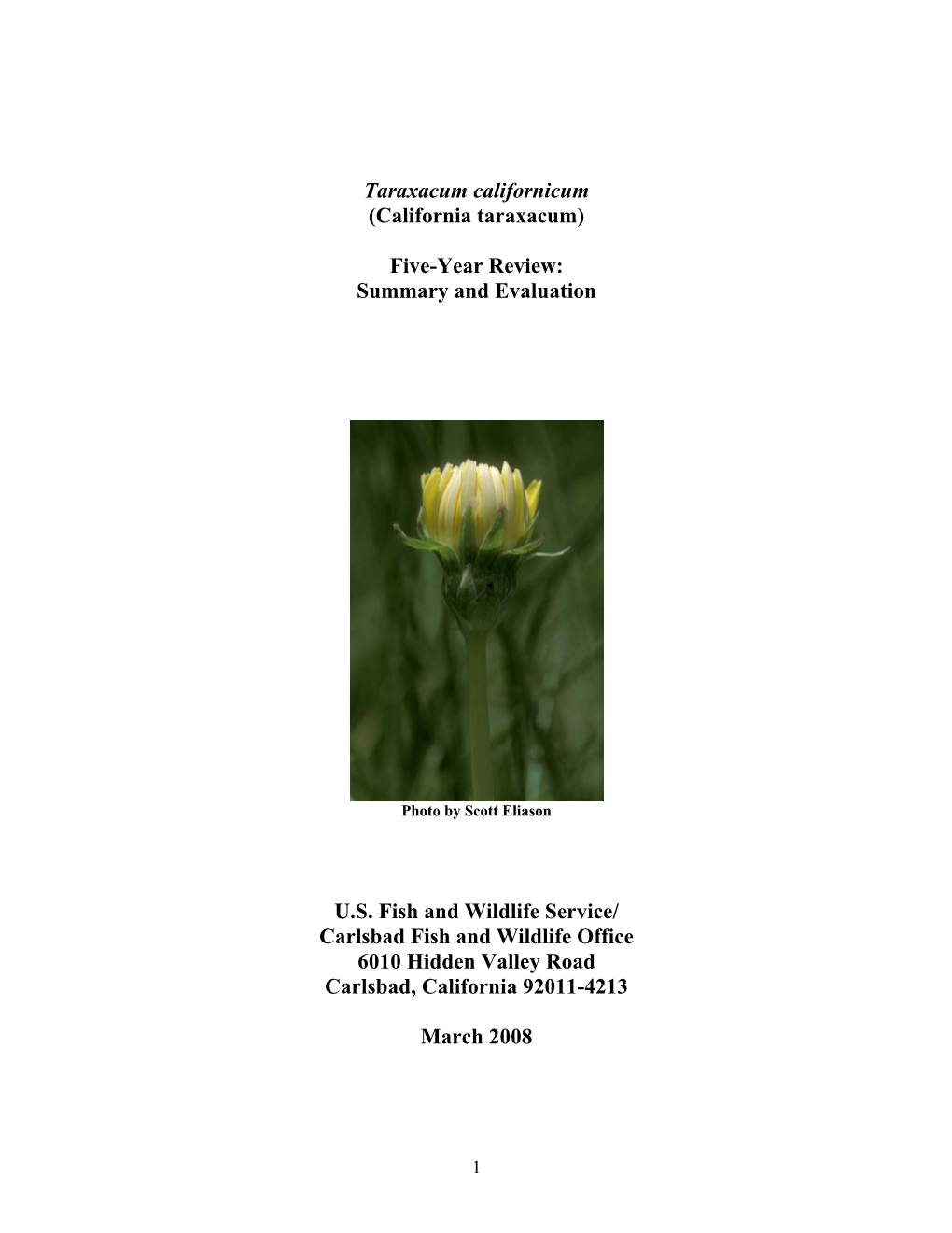 (California Taraxacum) Five-Year Review