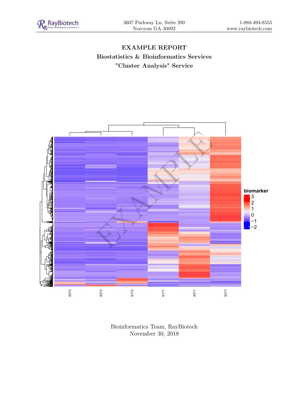 Cluster Analysis