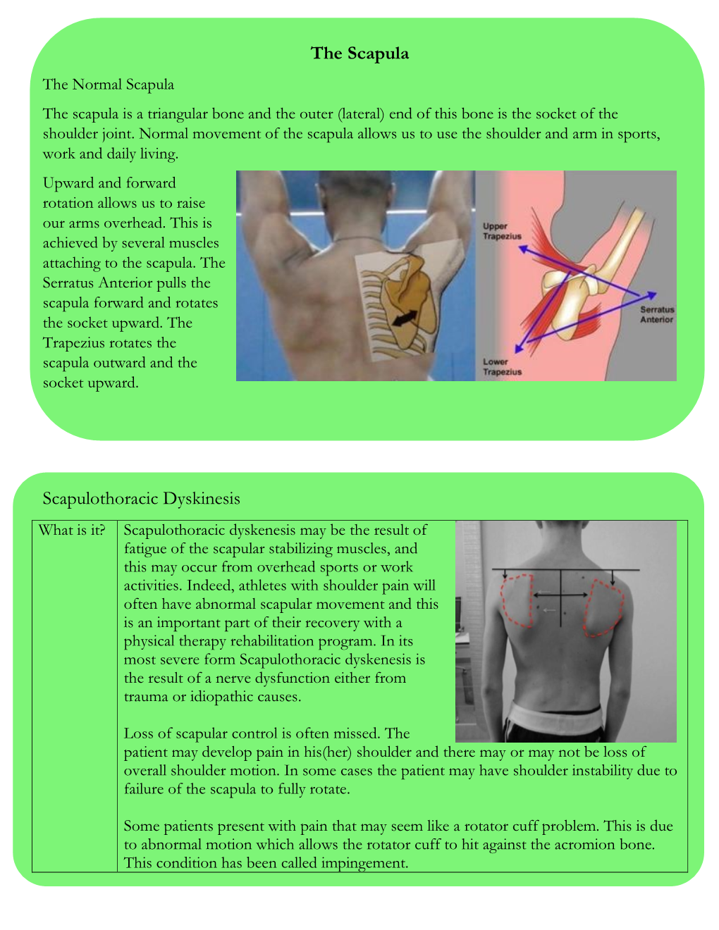 The Scapula Scapulothoracic Dyskinesis