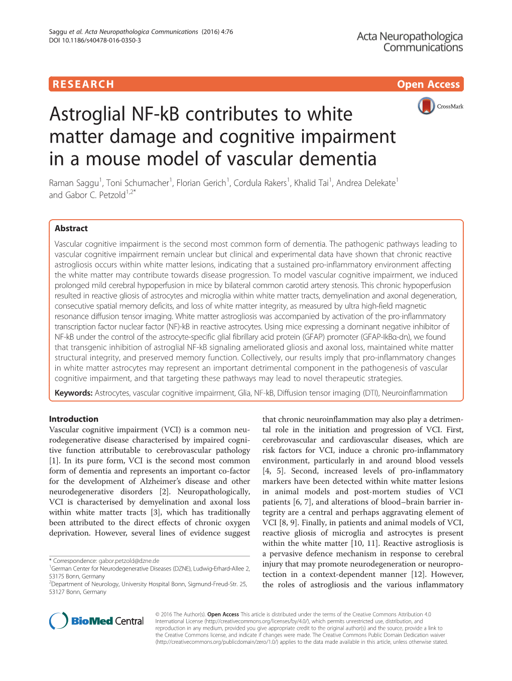 Astroglial NF-Kb Contributes to White Matter Damage and Cognitive Impairment in a Mouse Model of Vascular Dementia