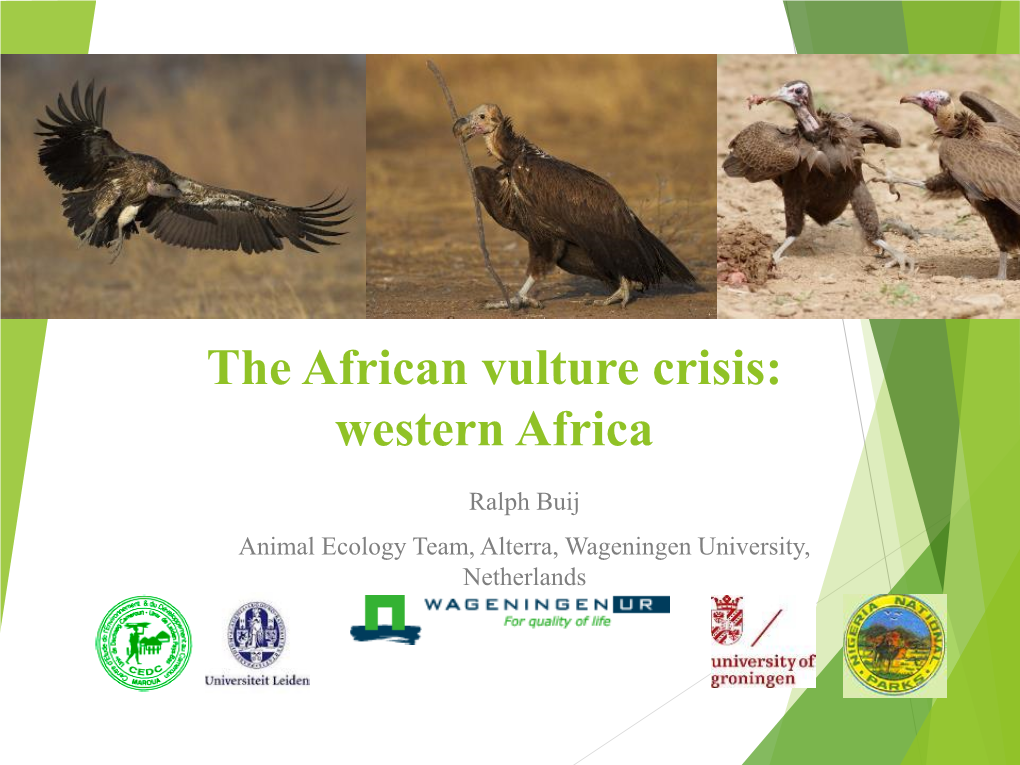 Vulture Decline and Trade in Nigeria and Cameroon