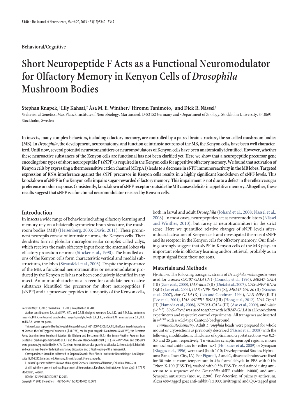 Short Neuropeptide F Acts As a Functional Neuromodulator for Olfactory Memory in Kenyon Cells of Drosophila Mushroom Bodies