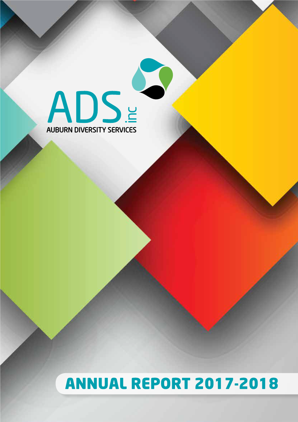 ANNUAL REPORT 2017-2018 This Report Is Also Available on the Adsi Website: TABLE of CONTENTS