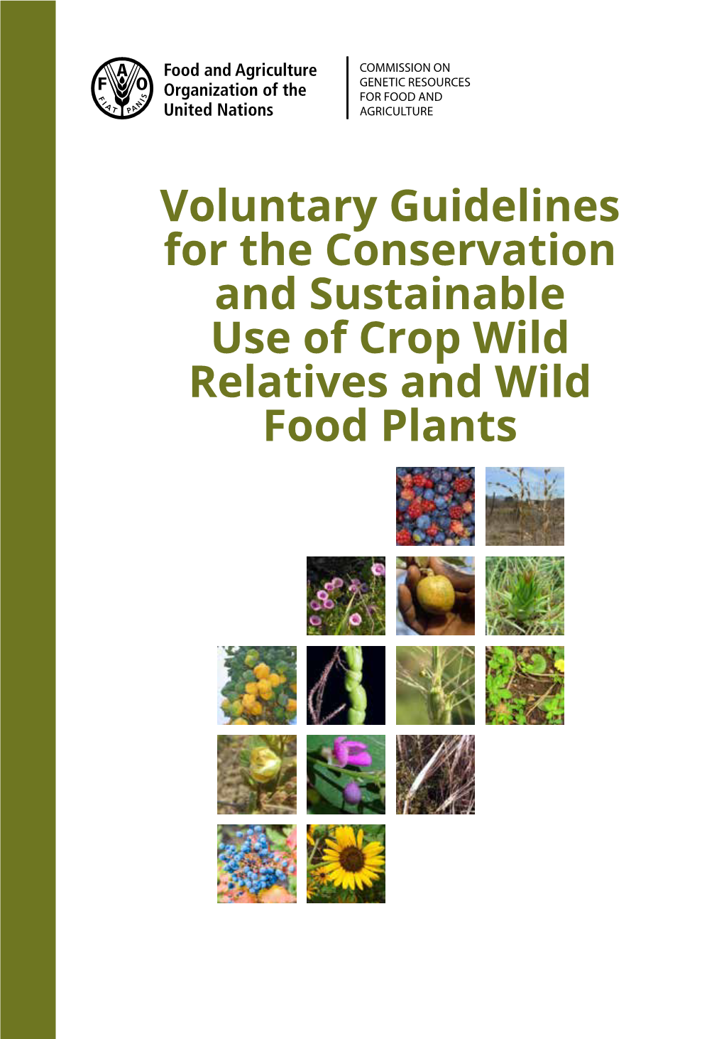 Voluntary Guidelines for the Conservation and Sustainable Use of Crop Wild Relatives Food Plants
