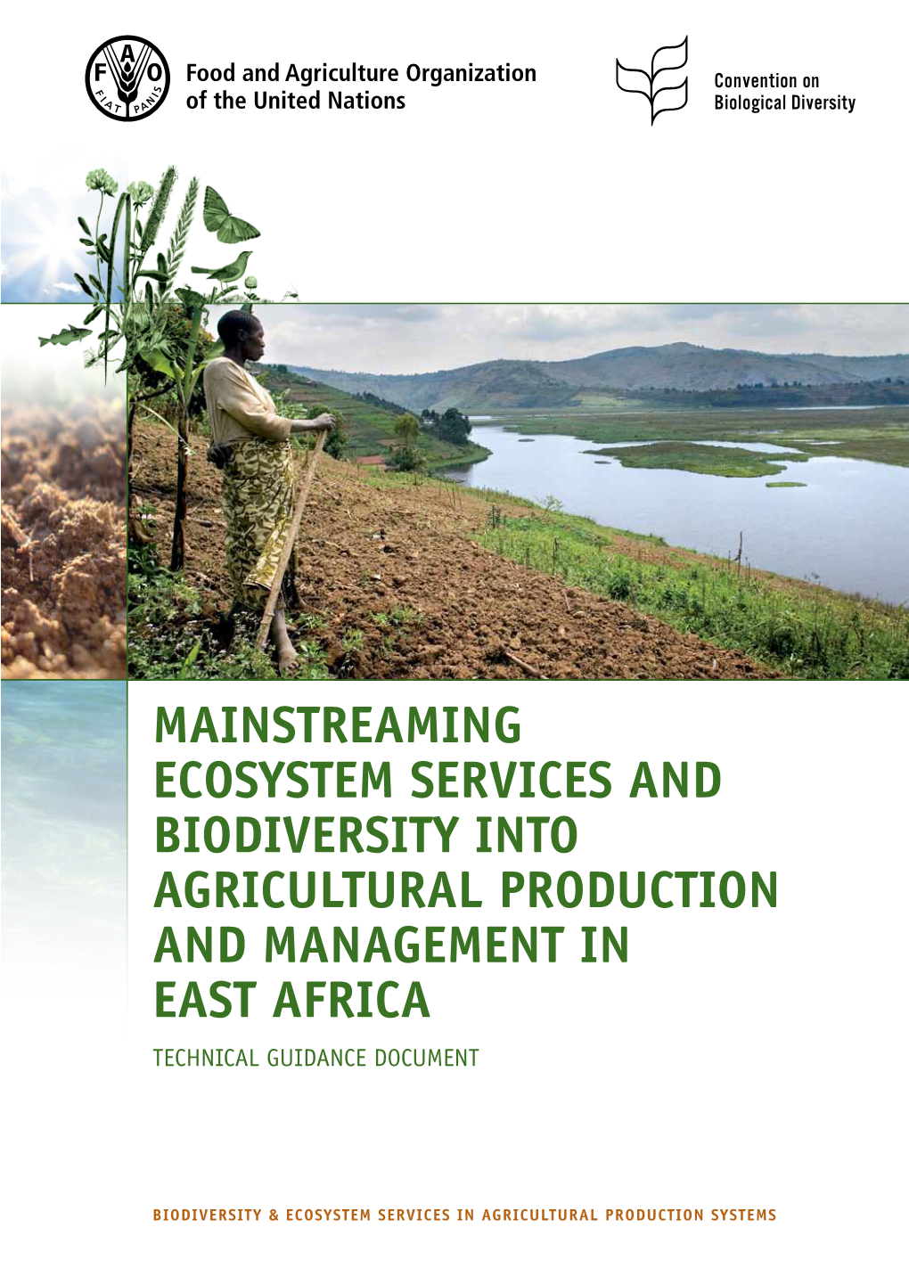 Mainstreaming Ecosystem Services and Biodiversity Into Agricultural Production and Management in East Africa Technical Guidance Document