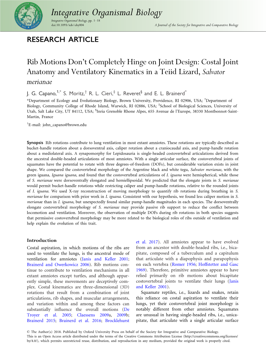 Rib Motions Don't Completely Hinge on Joint Design: Costal Joint Anatomy and Ventilatory Kinematics in a Teiid Lizard, Salvator Merianae