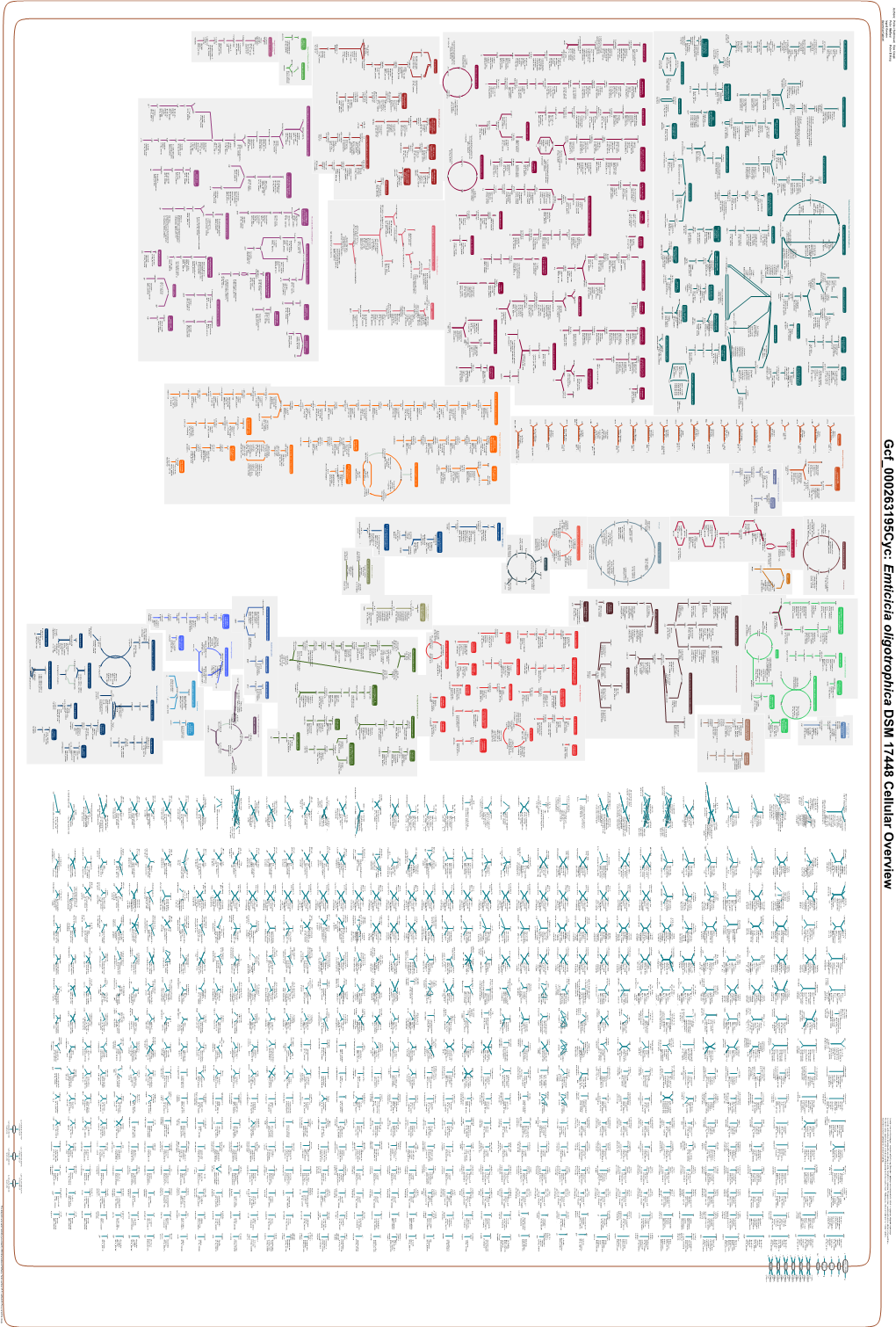 Generate Metabolic Map Poster