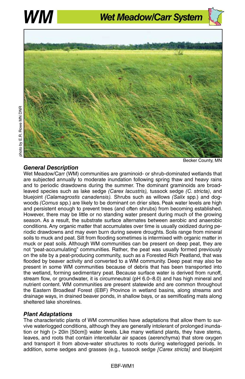 Eastern Broadleaf Forest Province, Wet Meadow/Carr System Summary