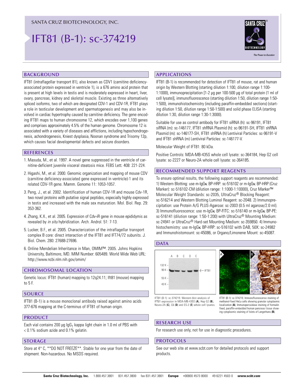 Datasheet Blank Template