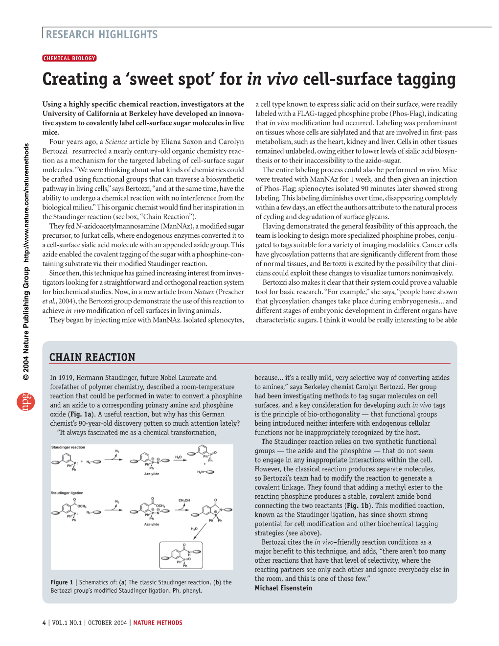 Creating a 'Sweet Spot' for in Vivo Cell-Surface Tagging