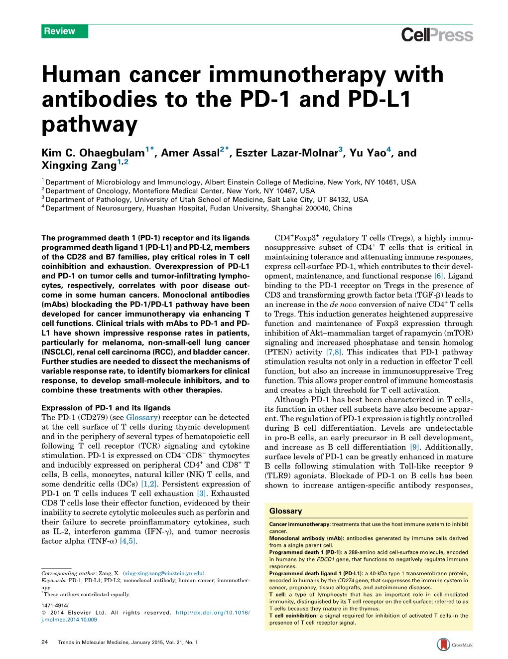 Human Cancer Immunotherapy with Antibodies to the PD-1 and PD-L1