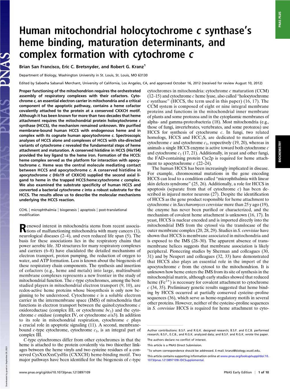 Human Mitochondrial Holocytochrome C Synthasets Heme Binding, Maturation Determinants, and Complex Formation with Cytochrome C