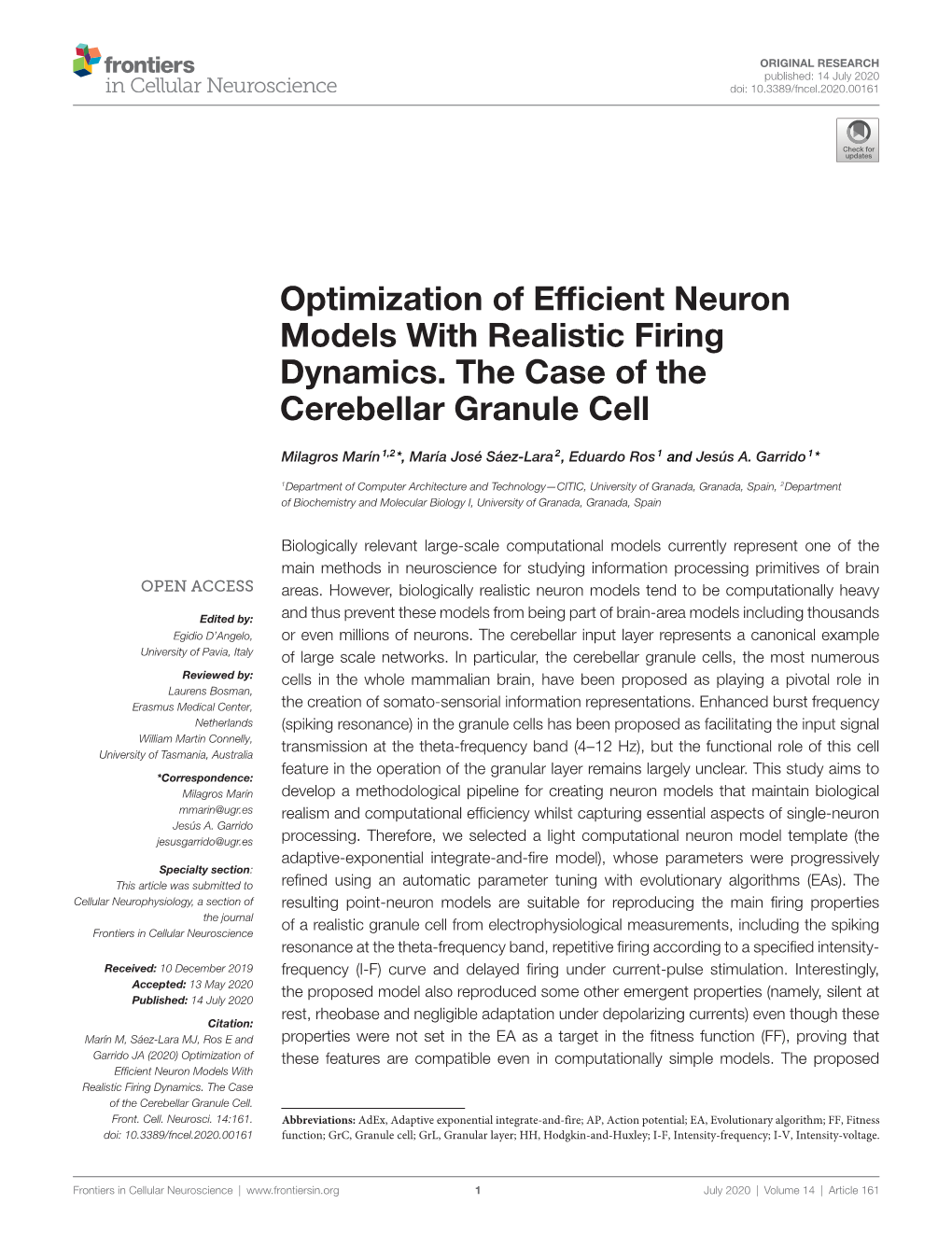 Optimization of Efficient Neuron Models with Realistic Firing Dynamics. the Case of the Cerebellar Granule Cell