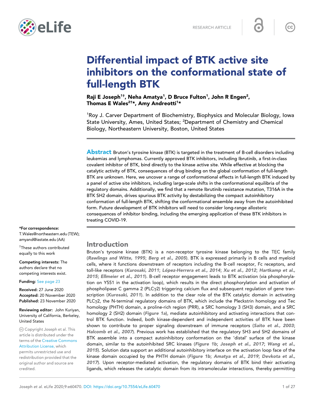 Differential Impact of BTK Active Site Inhibitors on the Conformational