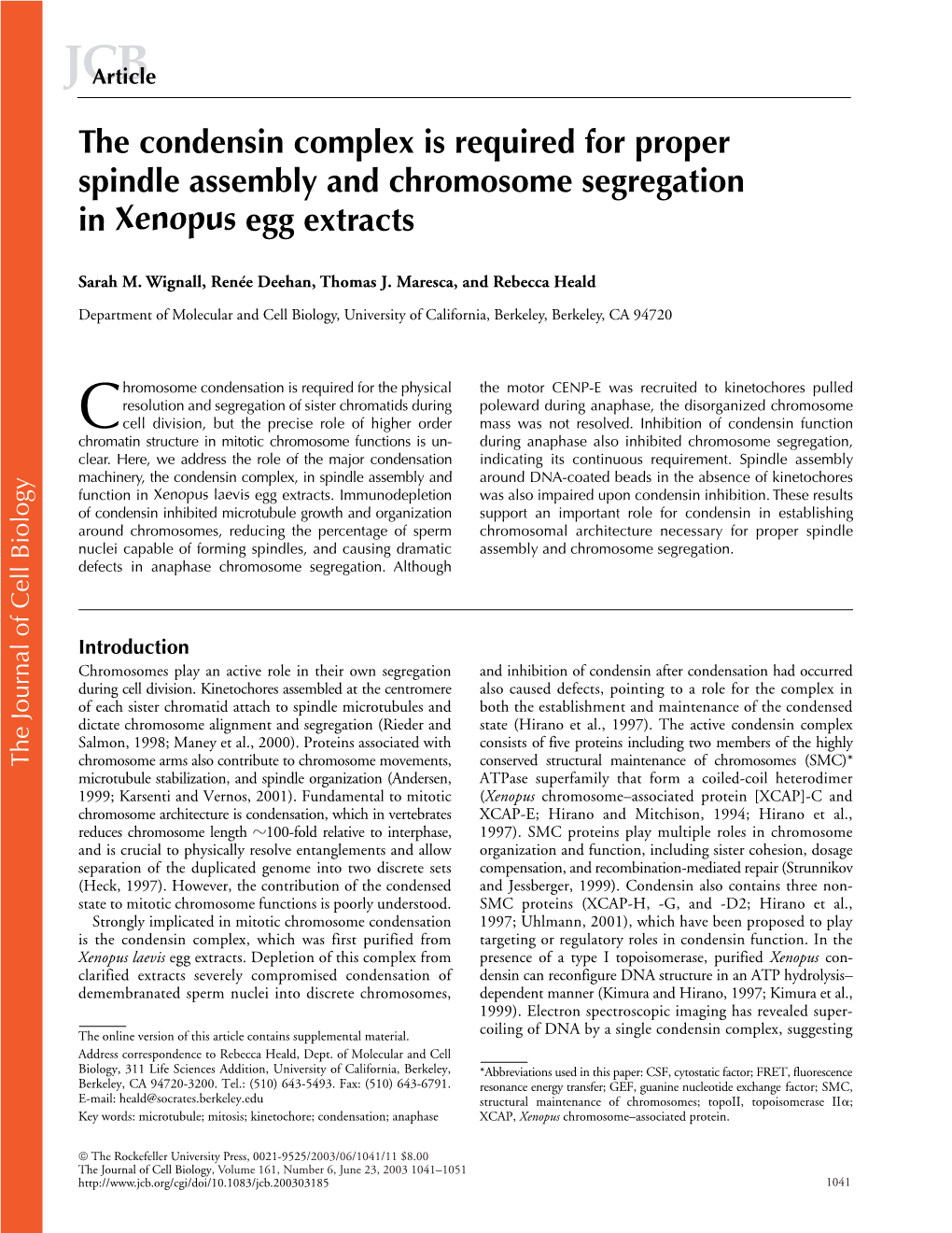 The Condensin Complex Is Required for Proper Spindle Assembly And