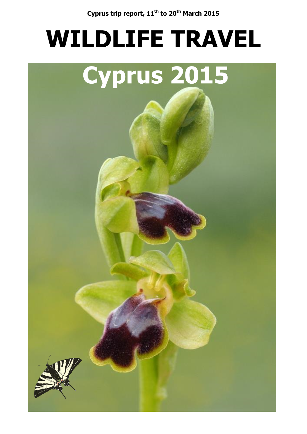 Wildlife Travel Cyprus Spring 2015
