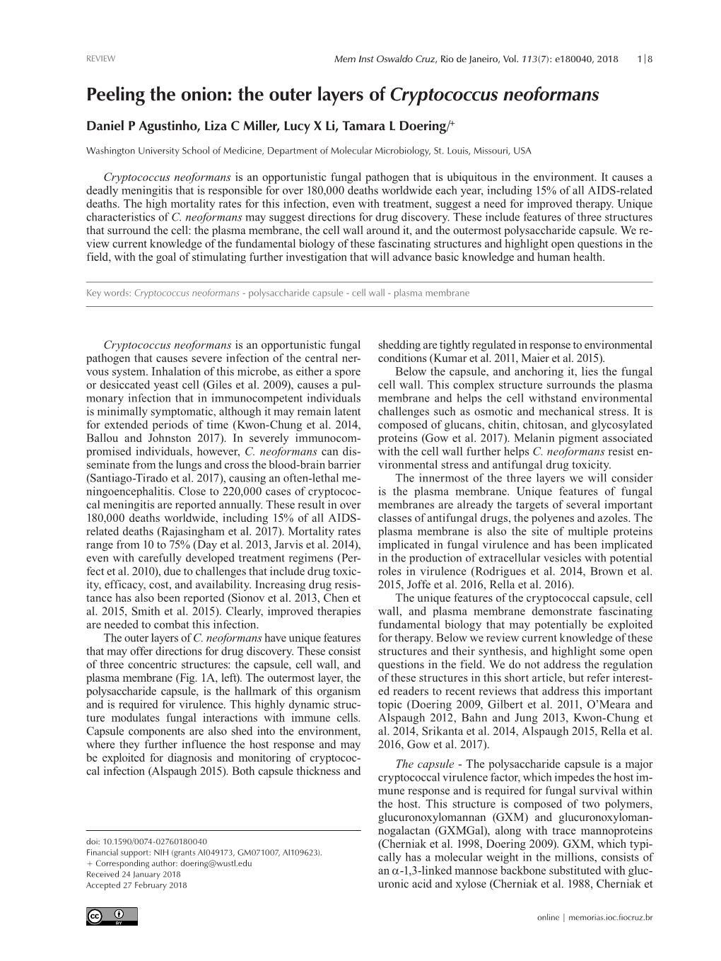 The Outer Layers of Cryptococcus Neoformans