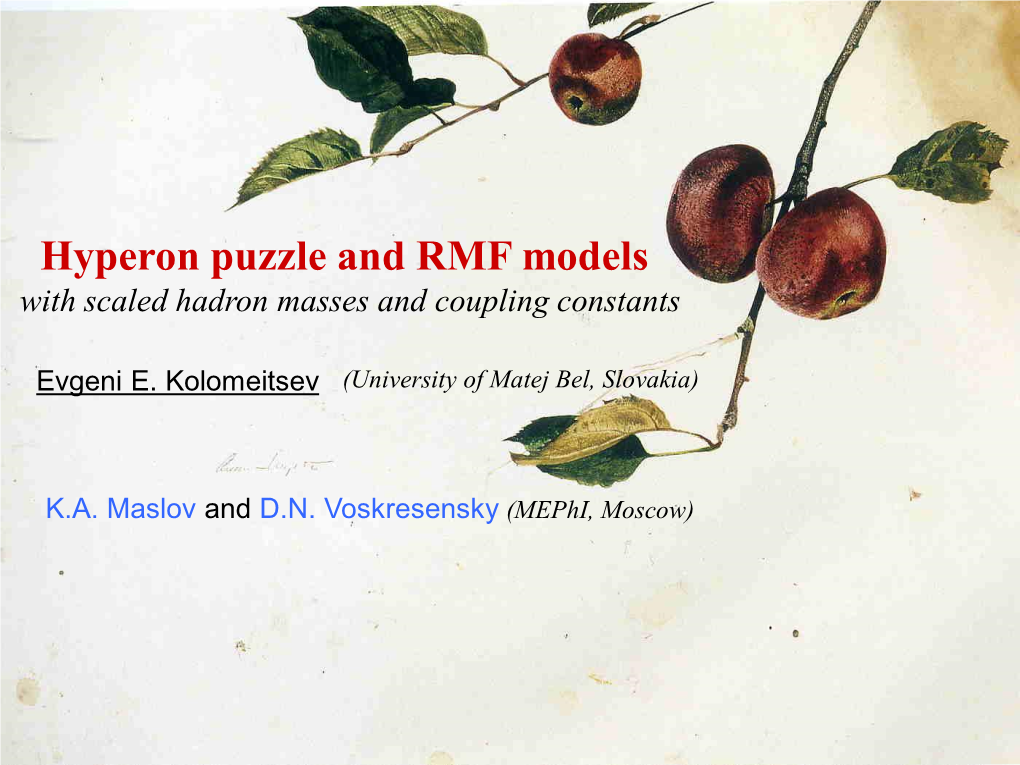 Hyperon Puzzle and RMF Models with Scaled Hadron Masses and Coupling Constants