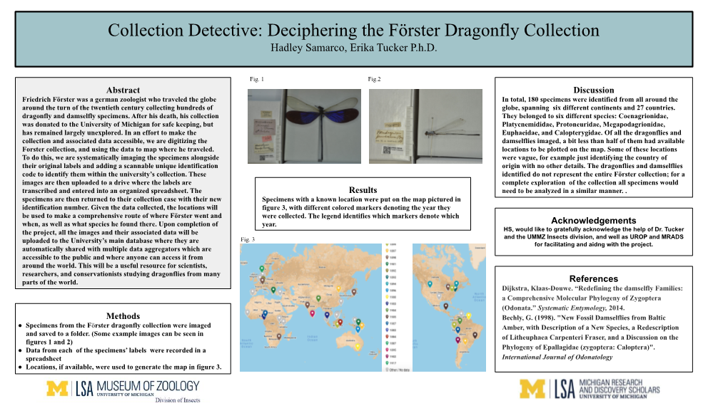 Deciphering the Förster Dragonfly Collection Hadley Samarco, Erika Tucker P.H.D