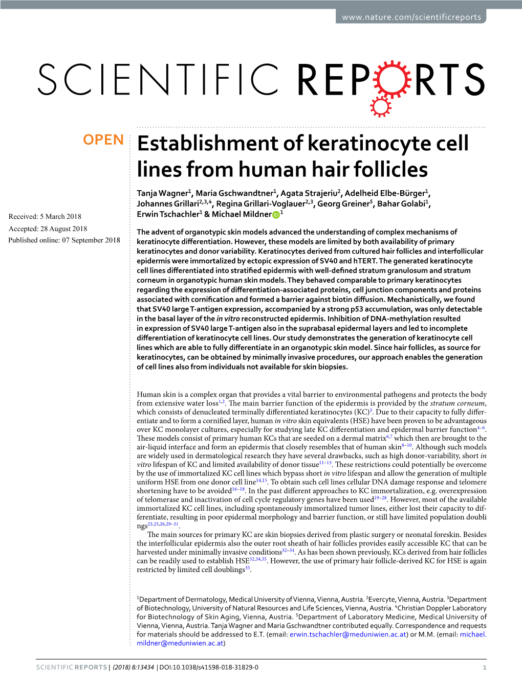 Establishment of Keratinocyte Cell Lines from Human Hair Follicles