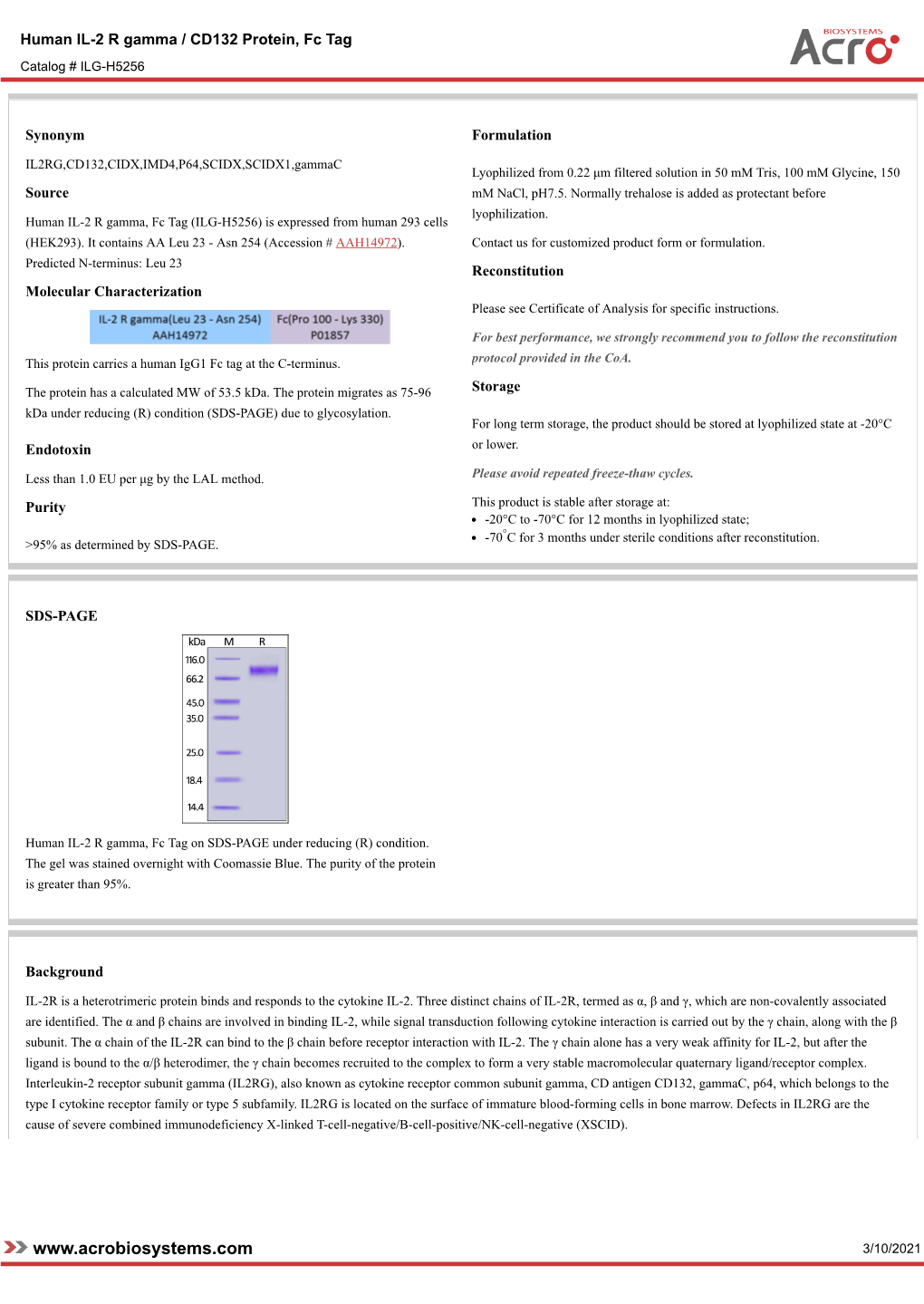 3/10/2021 Human IL-2 R Gamma / CD132 Protein, Fc Tag Catalog # ILG-H5256