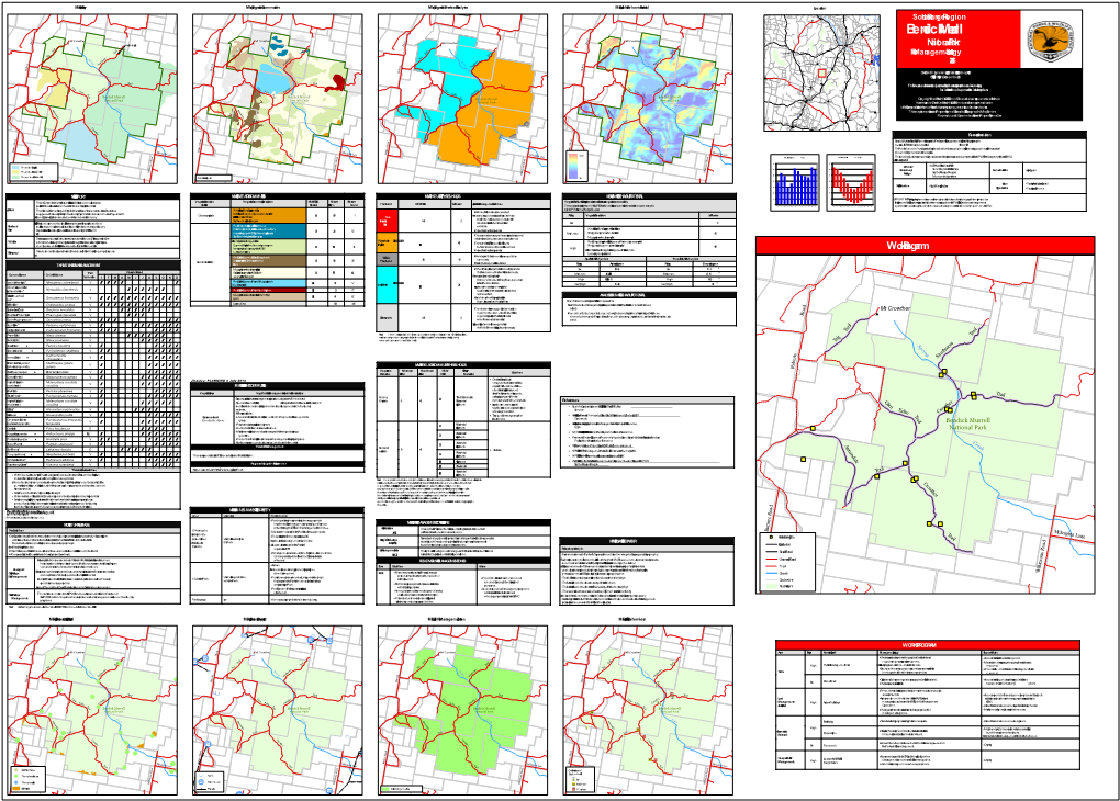 Bendick Murrell National Park Fire Management Strategydownload