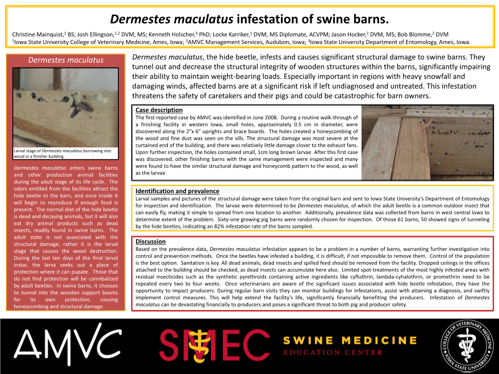 Dermestes Maculatus Infestation of Swine Barns