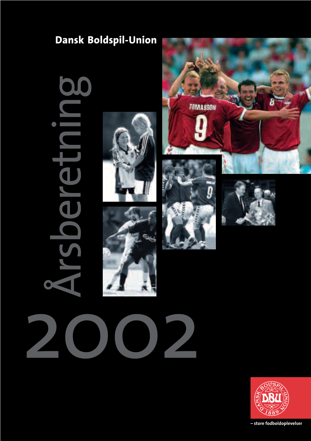 2002Årsberetning